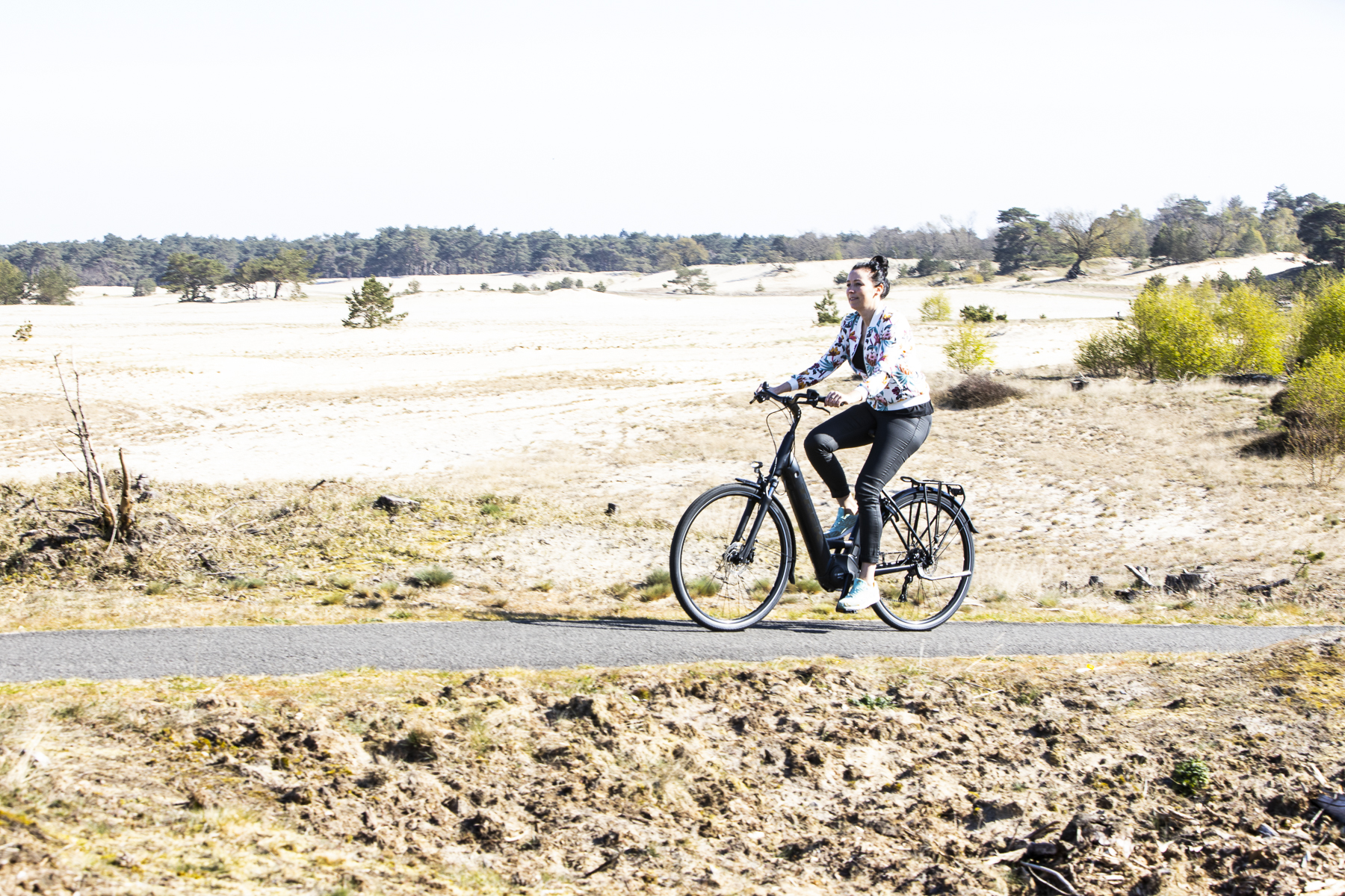 de vries fahrrad